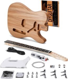Fesley DIY Electric Guitar Kit with Mahogany Body/Maple Neck, Electric Guitars for Adults with 6 Strings, DIY Guitar Kit with Purpleheart Fretboard, Beginner Guitar with SS Pickups, TC Style, Natural