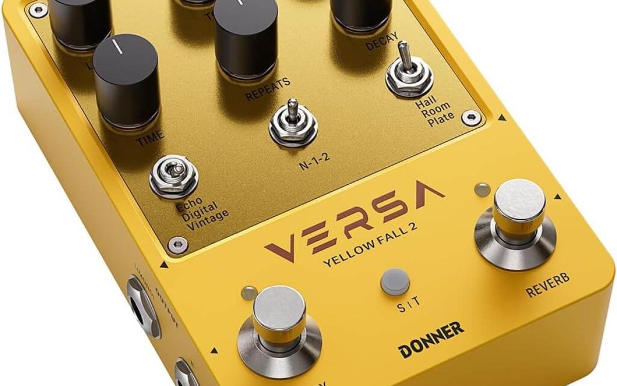 Donner Delay & Reverb Pedal with Tap Tempo, Preset Saving, Stereo in/out, Digital 3x3 Multi-Mode Effects for Electric/Acoustic Guitar, True Bypass